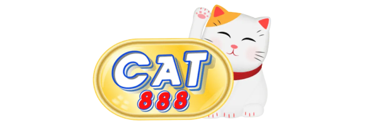 cat888